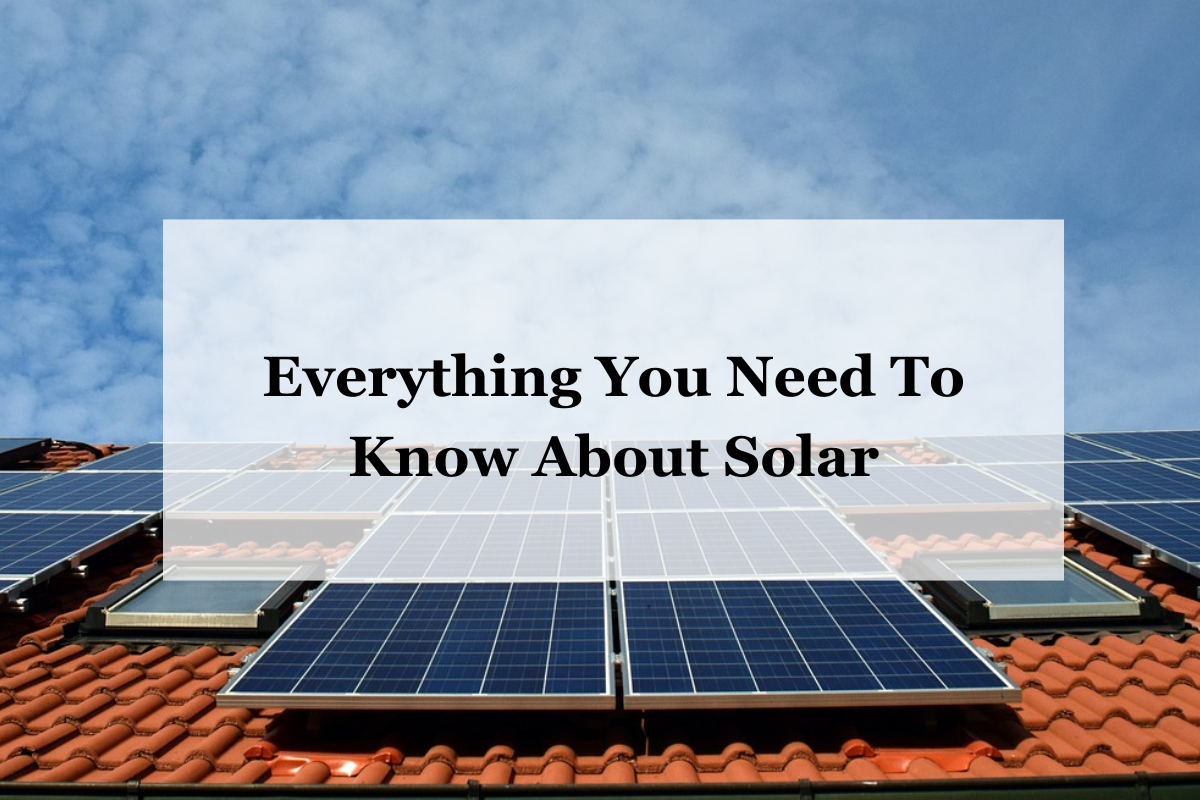 Everything You Need To Know About Solar