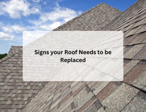 Signs your Roof Needs to be Replaced