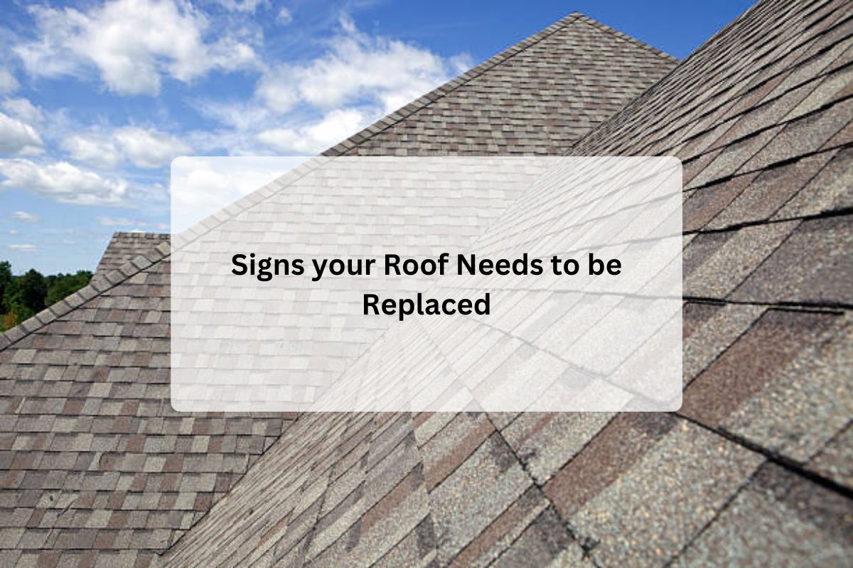 Signs your Roof NEEDS to be Replaced